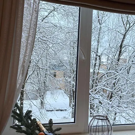 Cozy In The Center Of Dzīvoklis *