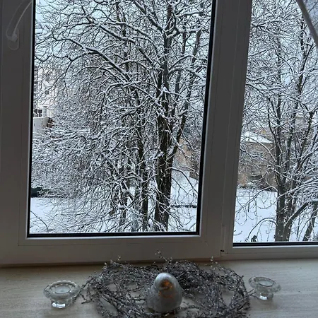 Апартаменты Cozy In The Center Of