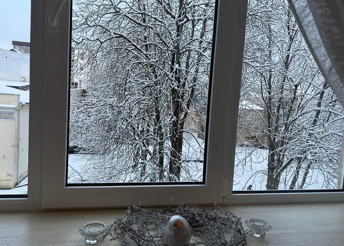 Apartment Cozy In The Center Of